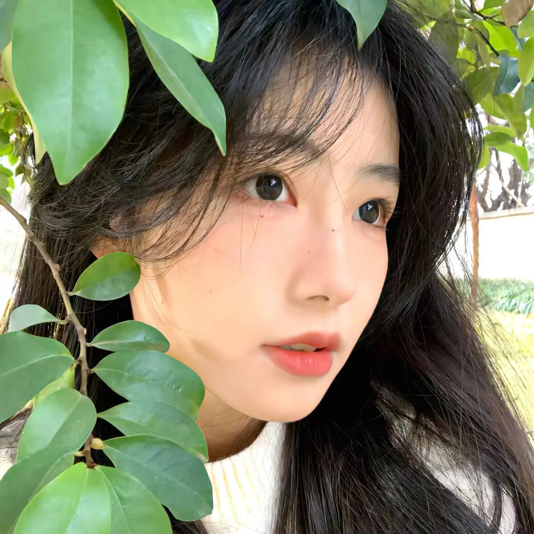 古墓丽影